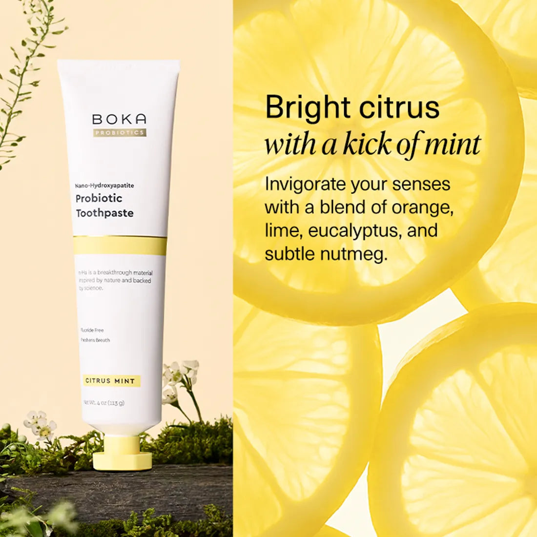Probiotic n-Ha Toothpaste Bundles