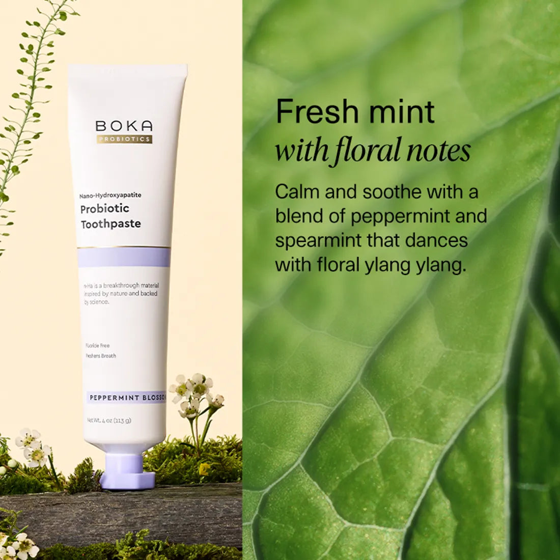 Probiotic n-Ha Toothpaste Bundles