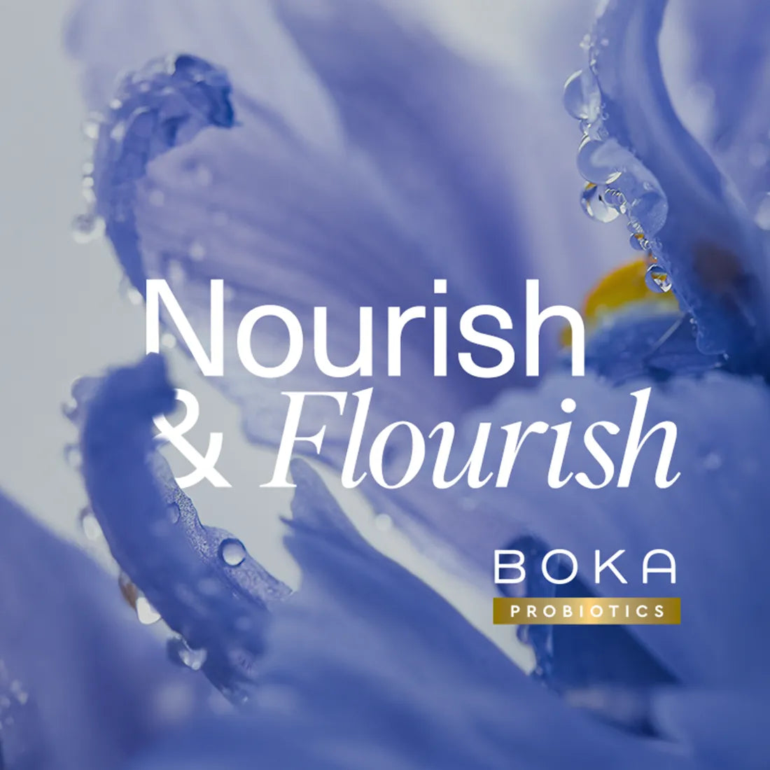 Probiotic n-Ha Toothpaste Bundles